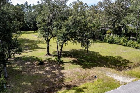 Terreno en venta en Gainesville, Florida № 1357484 - foto 11