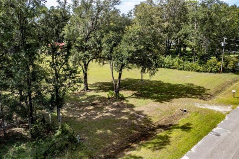 Terreno en venta en Gainesville, Florida № 1357484 - foto 12