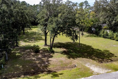 Terreno en venta en Gainesville, Florida № 1357484 - foto 9