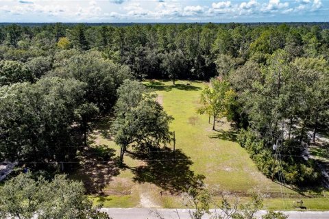 Terreno en venta en Gainesville, Florida № 1357484 - foto 6