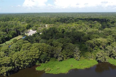 Terrain à vendre à Gainesville, Floride № 1276382 - photo 4