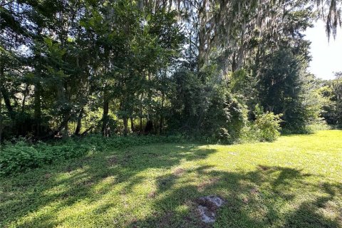 Terreno en venta en Gainesville, Florida № 1276382 - foto 8