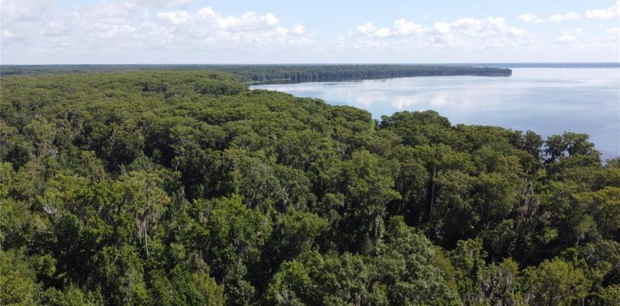 Terrain à Gainesville, Floride № 1276382