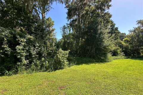 Terreno en venta en Gainesville, Florida № 1276382 - foto 9