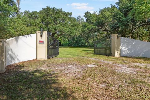 Land in Seffner, Florida № 1275047 - photo 3