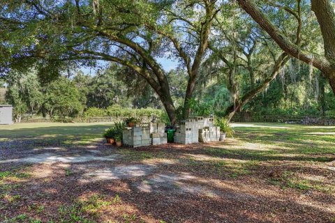 Land in Seffner, Florida № 1275047 - photo 21