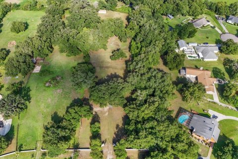 Terreno en venta en Seffner, Florida № 1275047 - foto 14