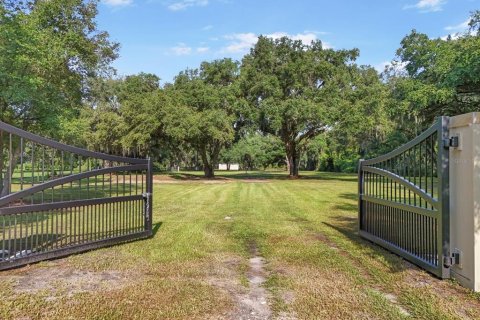 Land in Seffner, Florida № 1275047 - photo 1