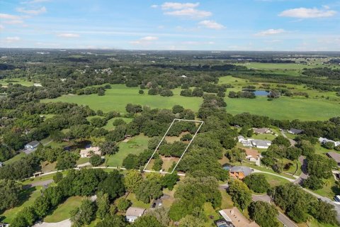 Land in Seffner, Florida № 1275047 - photo 4