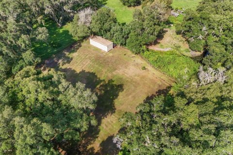 Land in Seffner, Florida № 1275047 - photo 17