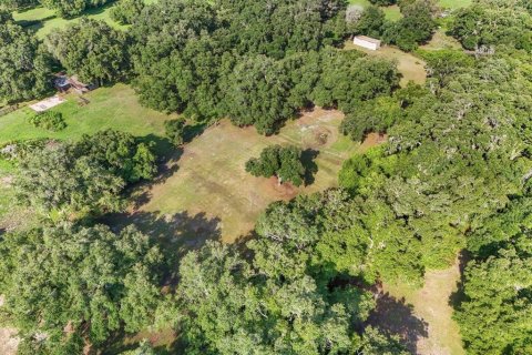 Terreno en venta en Seffner, Florida № 1275047 - foto 16