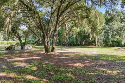 Terreno en venta en Seffner, Florida № 1275047 - foto 10