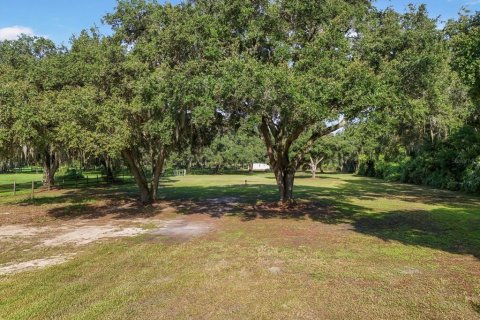 Land in Seffner, Florida № 1275047 - photo 6