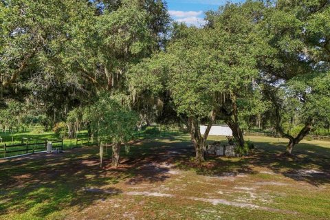 Terreno en venta en Seffner, Florida № 1275047 - foto 11