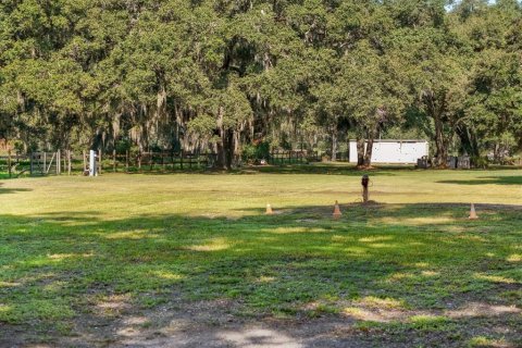 Land in Seffner, Florida № 1275047 - photo 13