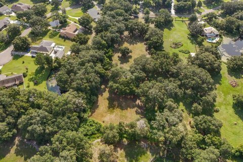 Terreno en venta en Seffner, Florida № 1275047 - foto 18