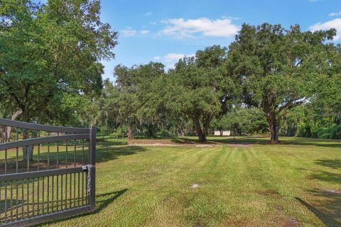 Land in Seffner, Florida № 1275047 - photo 2