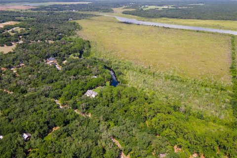 Terreno en venta en Weirsdale, Florida № 1298220 - foto 3