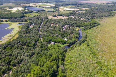 Land in Weirsdale, Florida № 1298220 - photo 4