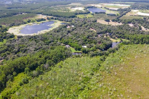 Land in Weirsdale, Florida № 1298220 - photo 5