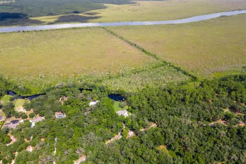 Land in Weirsdale, Florida № 1298220 - photo 10