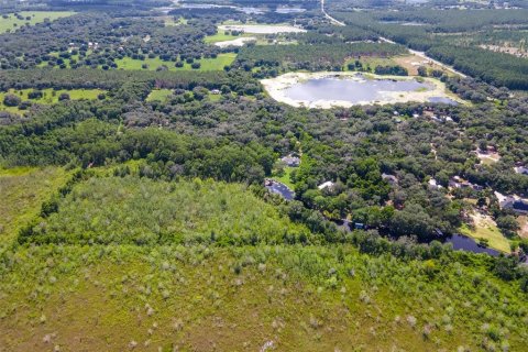 Terrain à vendre à Weirsdale, Floride № 1298220 - photo 6