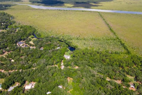 Land in Weirsdale, Florida № 1298220 - photo 11