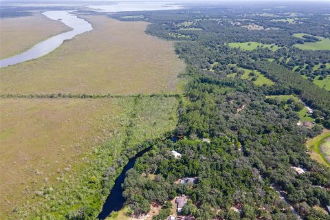 Terreno en venta en Weirsdale, Florida № 1298220 - foto 8