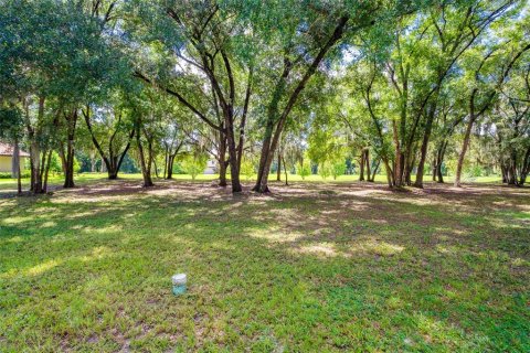 Terreno en venta en DeLand, Florida № 1296272 - foto 1