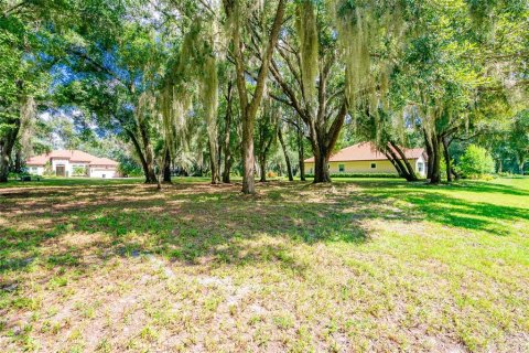 Terrain à vendre à DeLand, Floride № 1296272 - photo 4