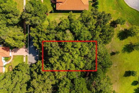 Terreno en venta en DeLand, Florida № 1296272 - foto 9