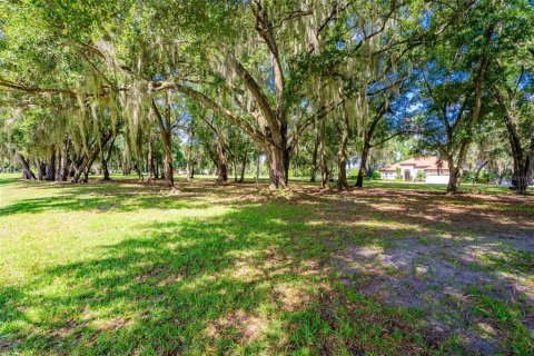 Terreno en venta en DeLand, Florida № 1296272 - foto 3