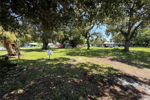 Terreno en venta en Saint Petersburg, Florida № 1296270 - foto 6