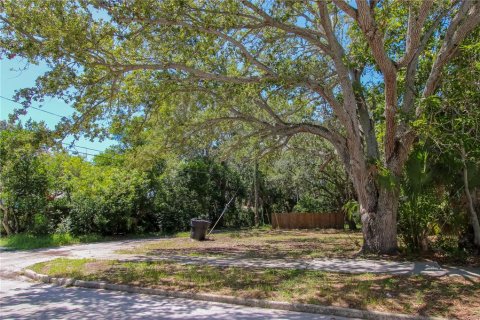 Terreno en venta en Saint Petersburg, Florida № 1357496 - foto 3