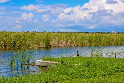 Land in Saint Petersburg, Florida № 1357496 - photo 6