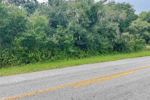 Terreno en venta en Myakka City, Florida № 1361982 - foto 5