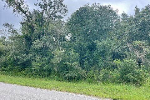 Terreno en venta en Myakka City, Florida № 1361982 - foto 8