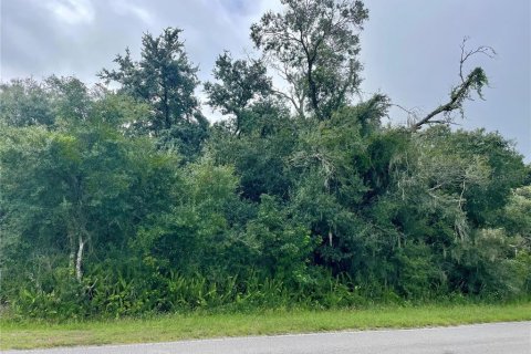 Terreno en venta en Myakka City, Florida № 1361982 - foto 4