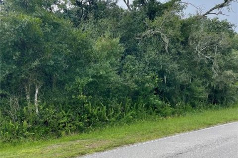 Terreno en venta en Myakka City, Florida № 1361982 - foto 3