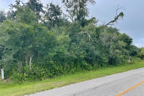 Terreno en venta en Myakka City, Florida № 1361982 - foto 2