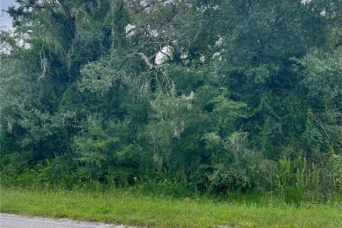 Terreno en venta en Myakka City, Florida № 1361982 - foto 9