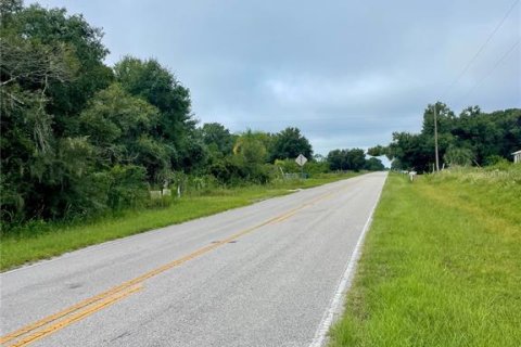 Terreno en venta en Myakka City, Florida № 1361982 - foto 10