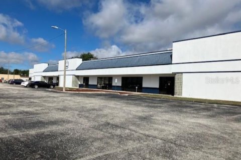 Commercial property in Tampa, Florida 2425.4 sq.m. № 1244985 - photo 1