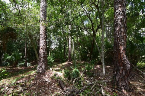 Terreno en venta en Longwood, Florida № 1352448 - foto 24