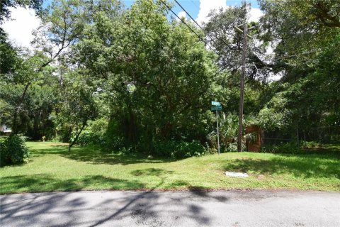 Terreno en venta en Longwood, Florida № 1352448 - foto 7