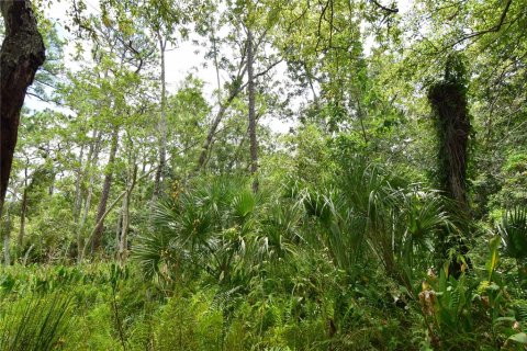 Terreno en venta en Longwood, Florida № 1352448 - foto 18