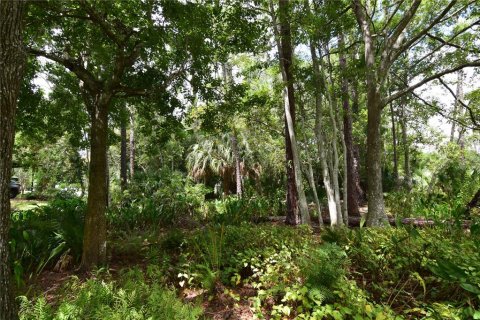 Terreno en venta en Longwood, Florida № 1352448 - foto 21