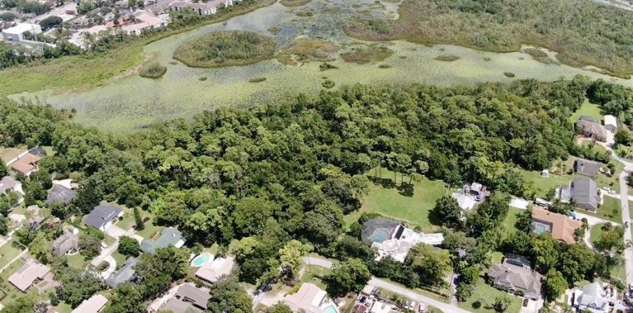 Terrain à Longwood, Floride № 1352448