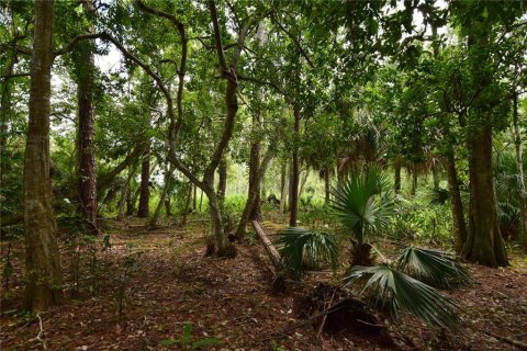 Terreno en venta en Longwood, Florida № 1352448 - foto 14