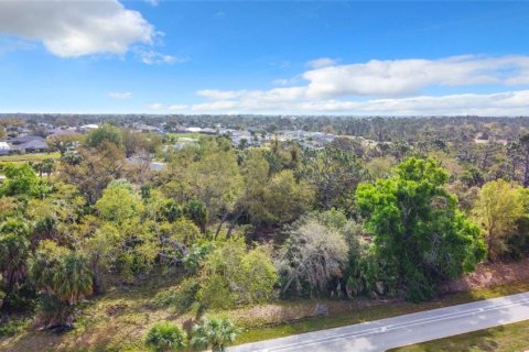 Land in Rotonda, Florida № 1039006 - photo 11